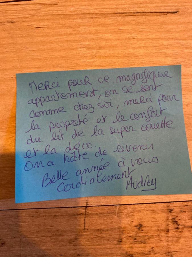 Appartement Le Loft Vintage Avec Netflix, Velos, Parking Gratuit